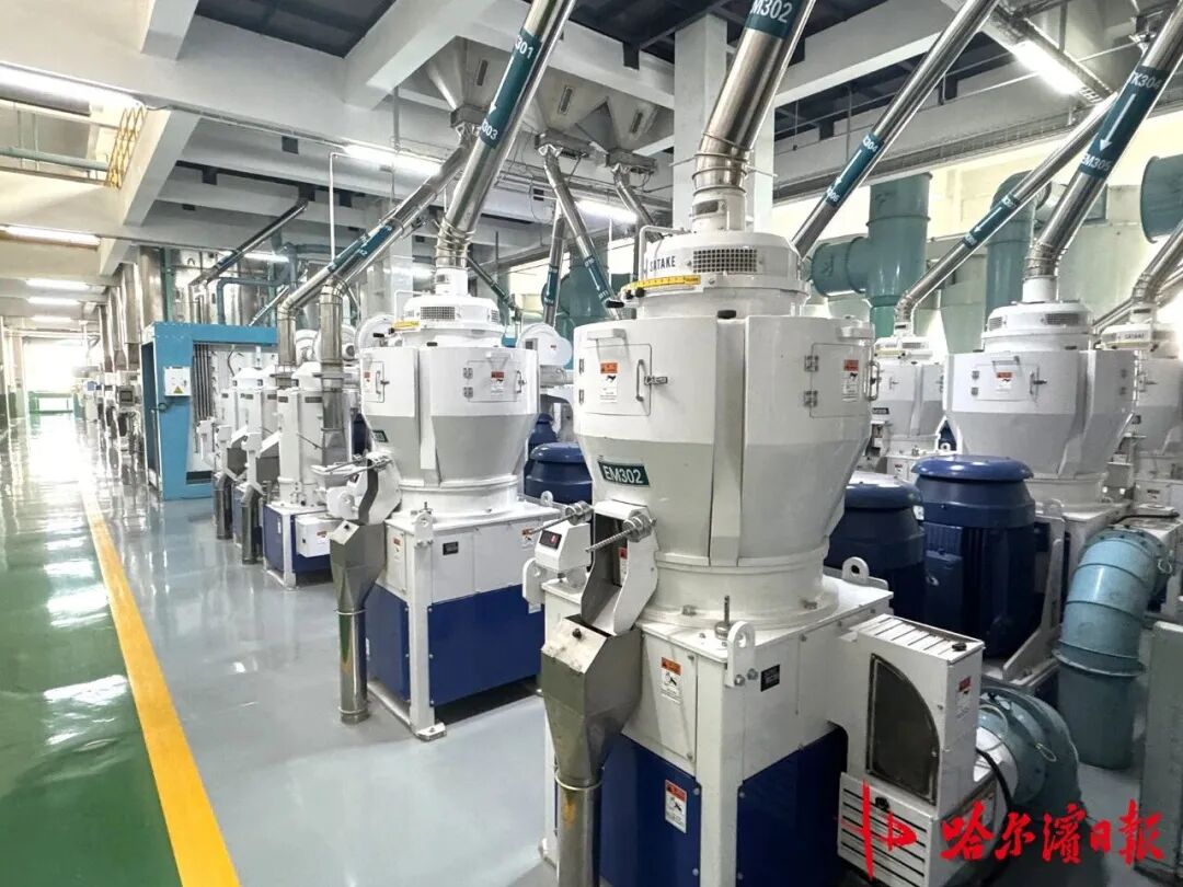 一粒方正大米，帶你體驗從稻谷到餐桌米飯的沉浸式“智造之旅”