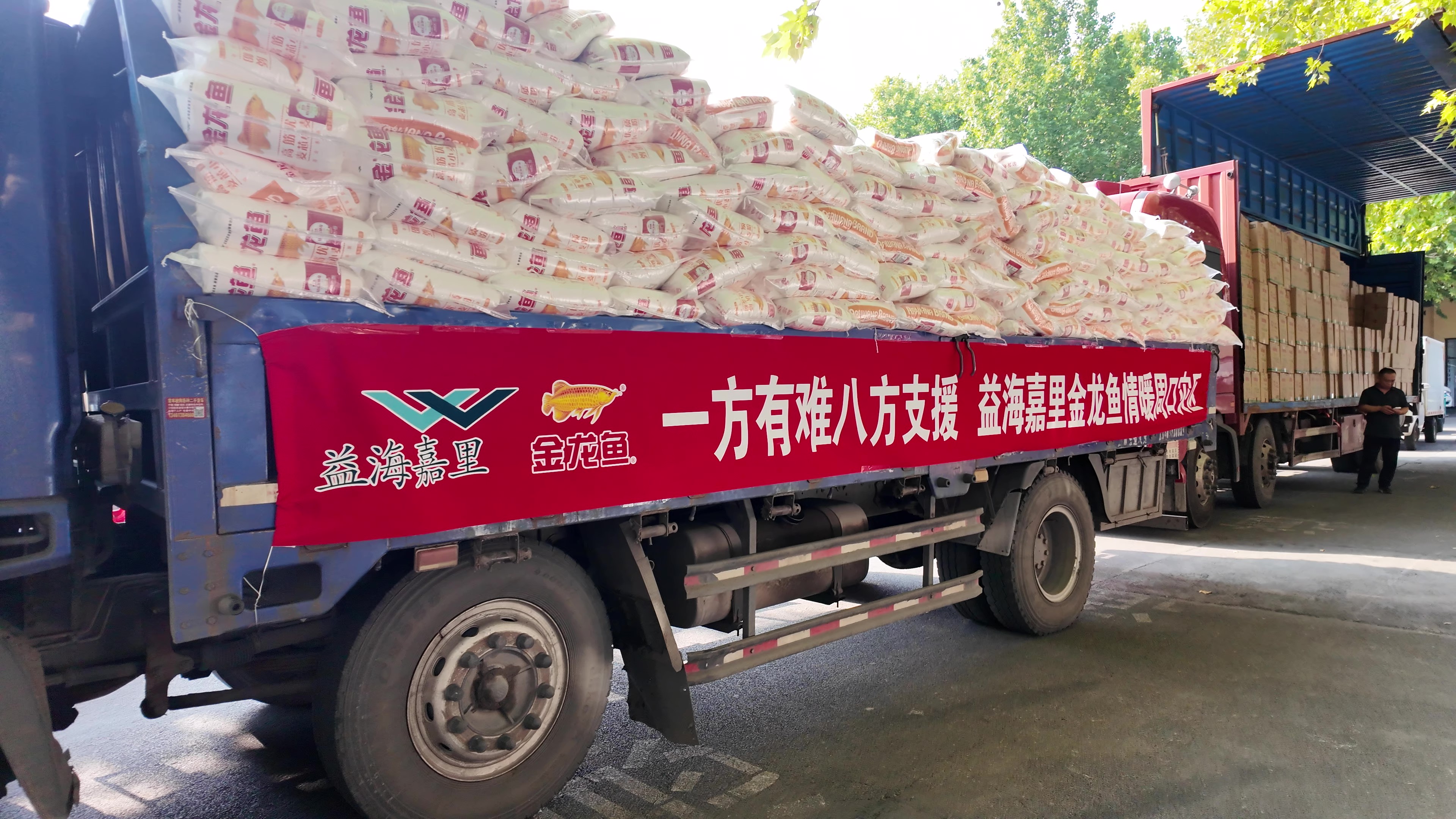 情系灾区献爱心，同心聚力抗汛情——益海嘉里金龙鱼在行动